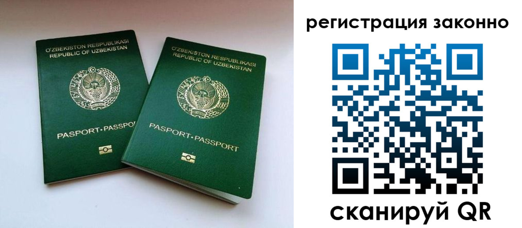прописка гарантия в Сертолово